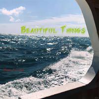 Beautiful Things