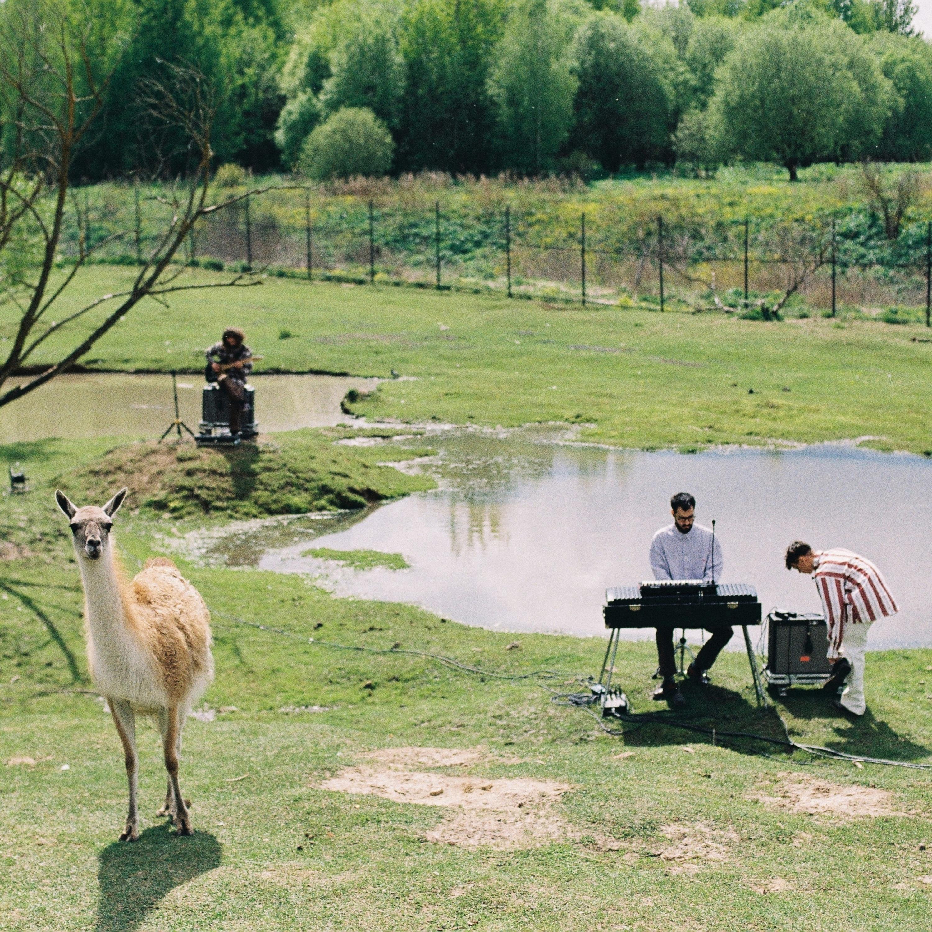 Ритм сердца