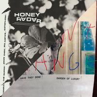 Honey Radar / Violent Change Split