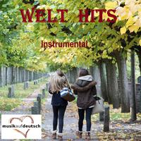 Welt Hits Instrumental