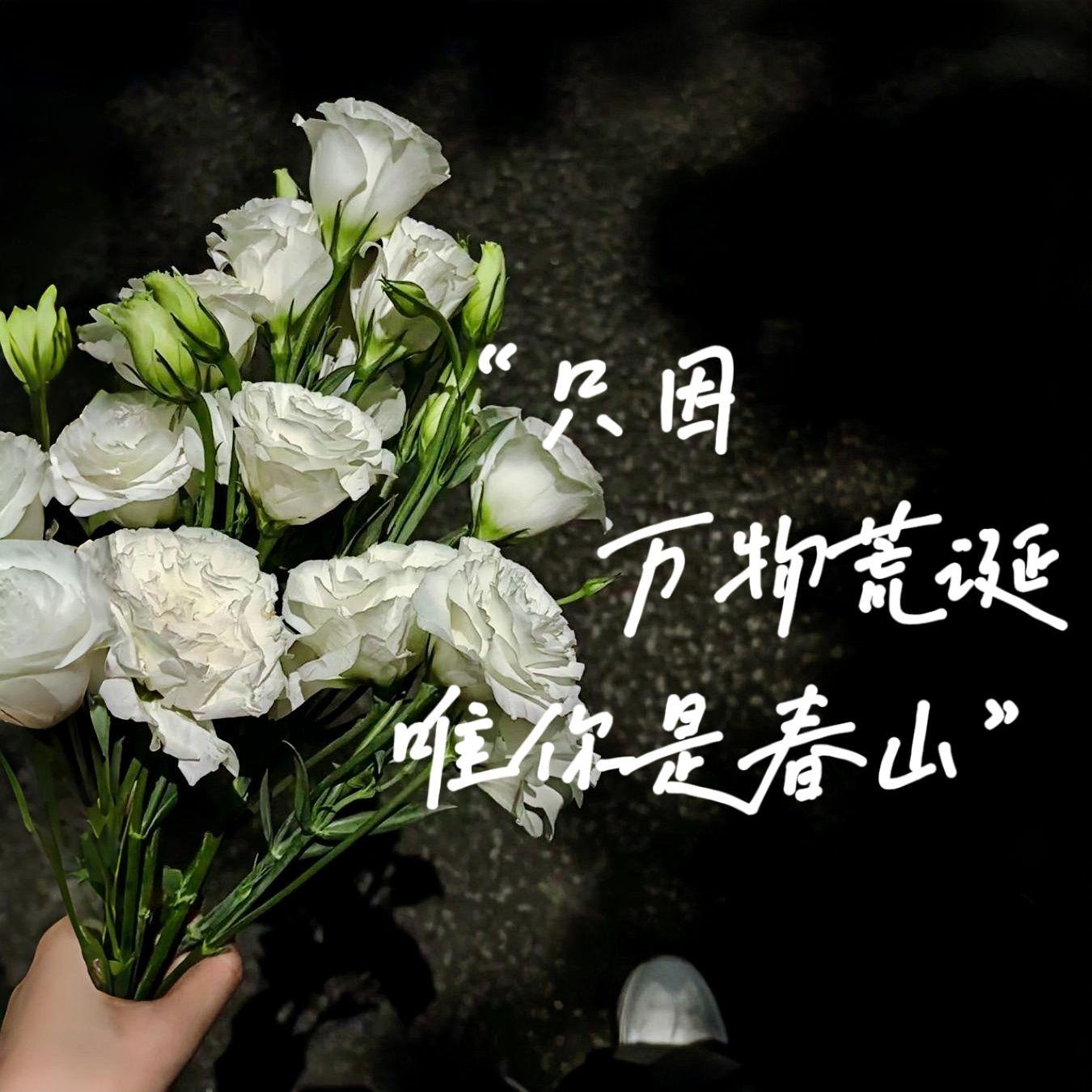 任我行 - 水野月的梦封面