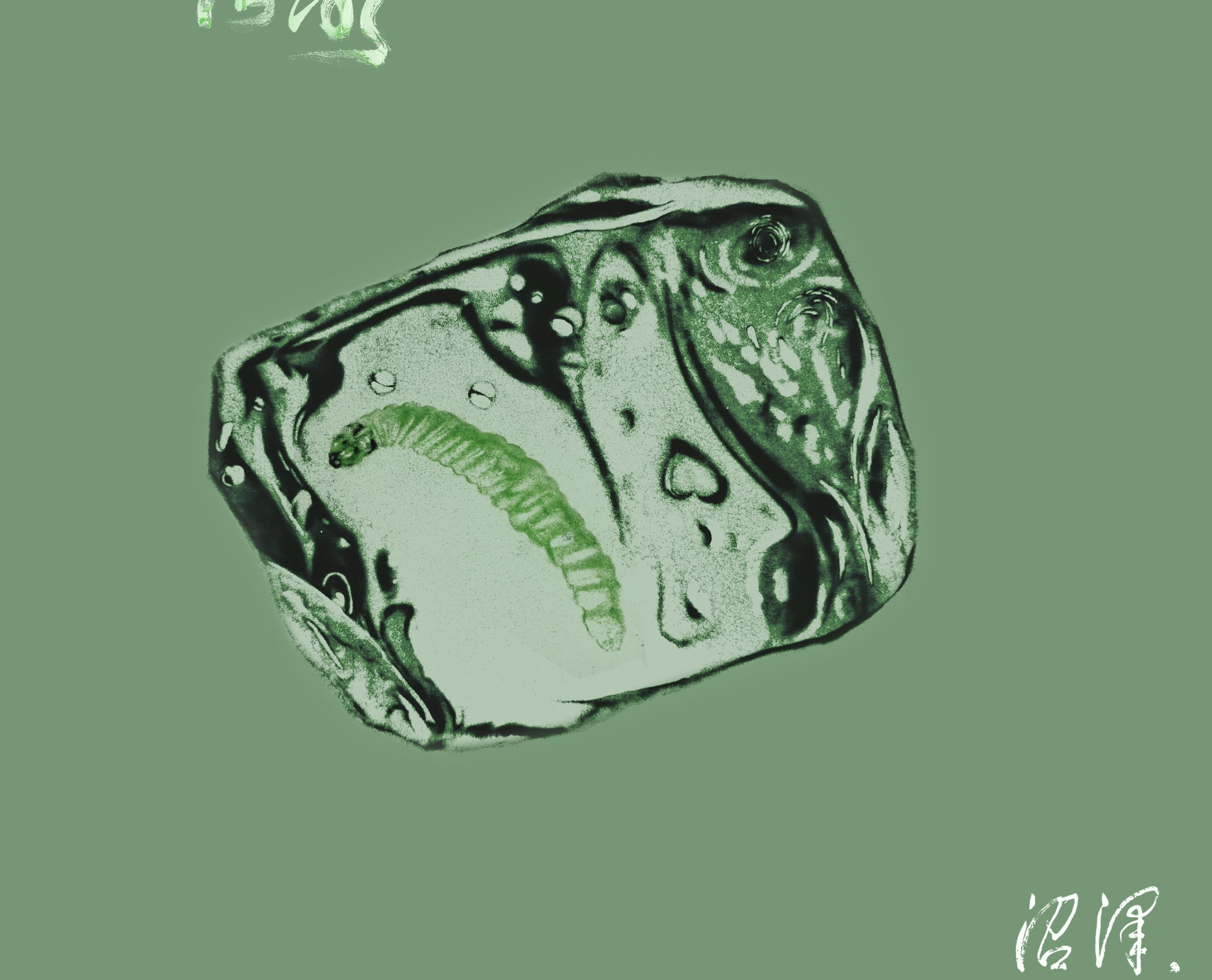 沼泽