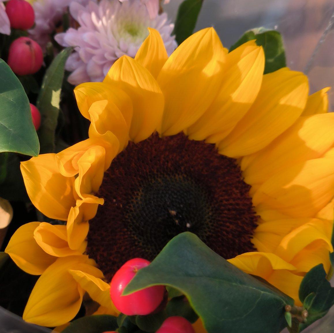 心中的另一个自己纯音乐