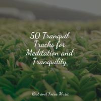 50 Tranquil Tracks for Meditation and Tranquility