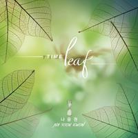 [Time LEAF]