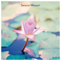 Serene Mozart