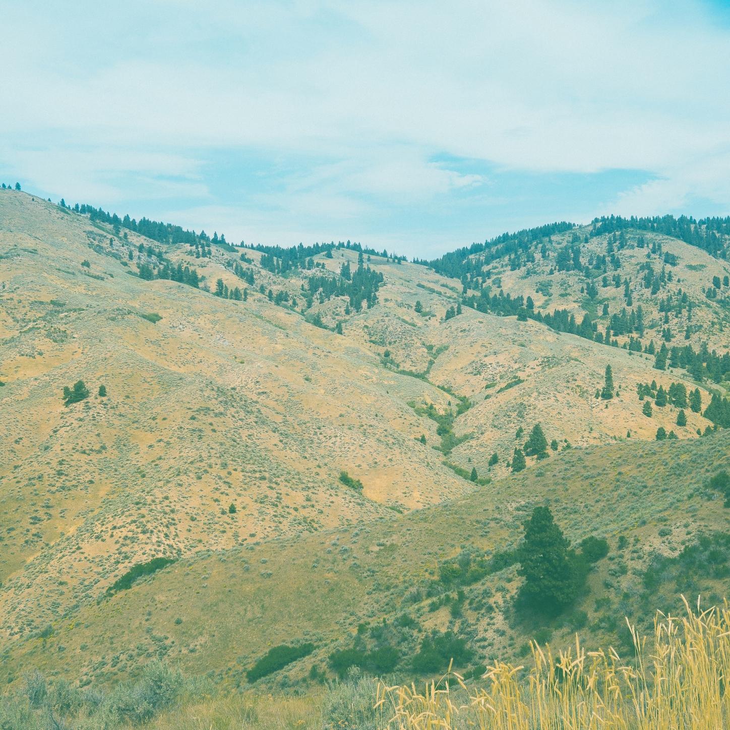 Anything Was Everything