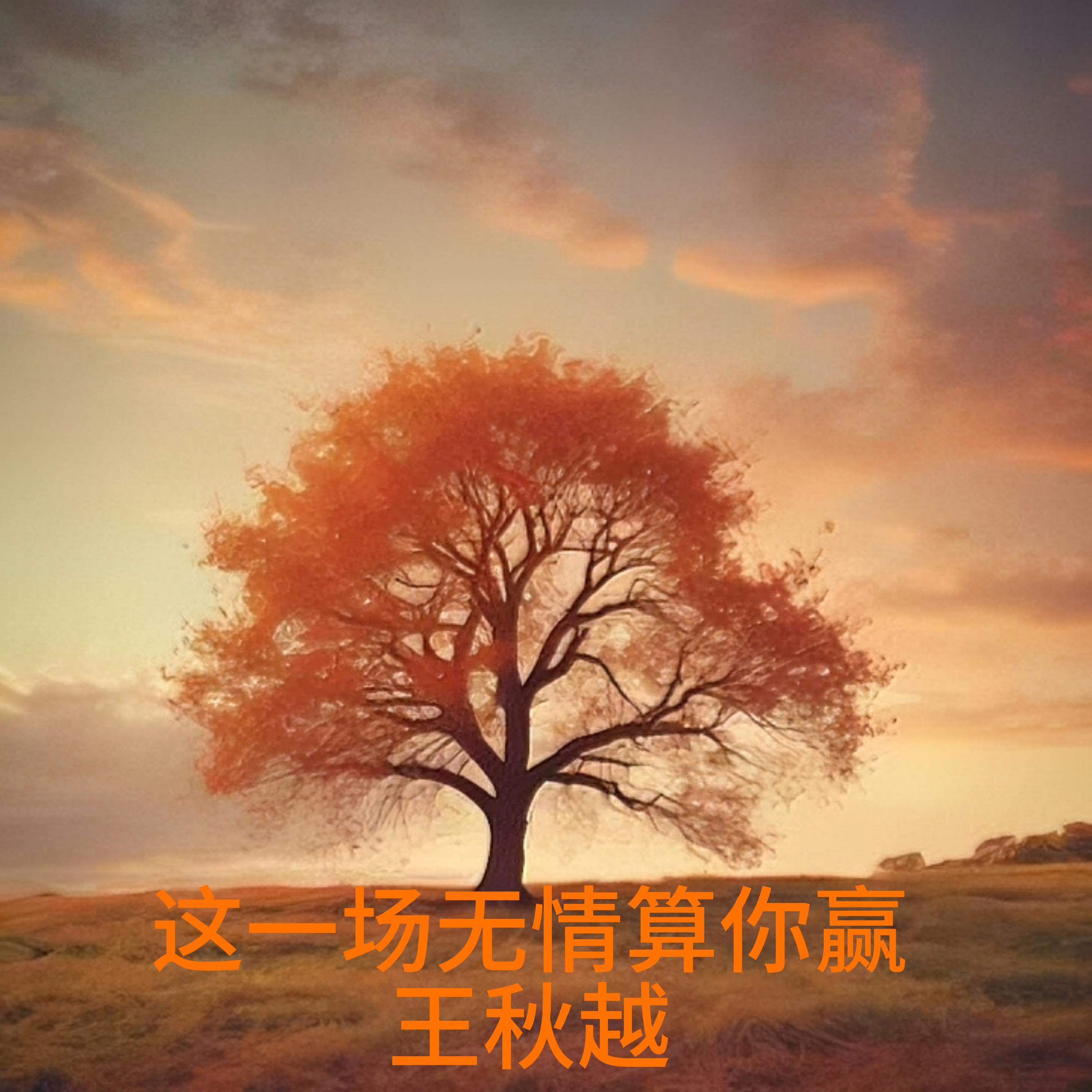 着迷封面