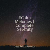 #Calm Melodies | Complete Serenity