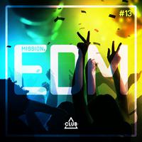 Mission EDM, Vol. 13