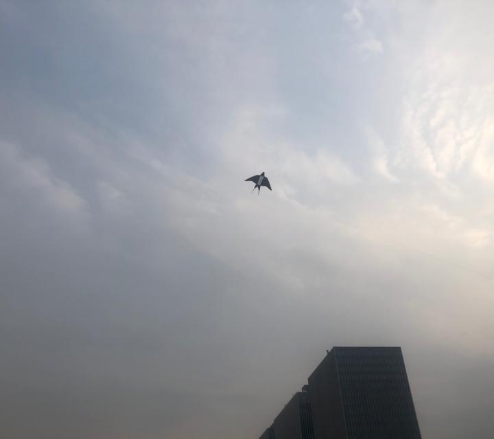 任东