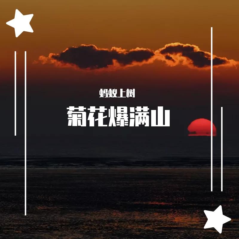 我对天空说封面