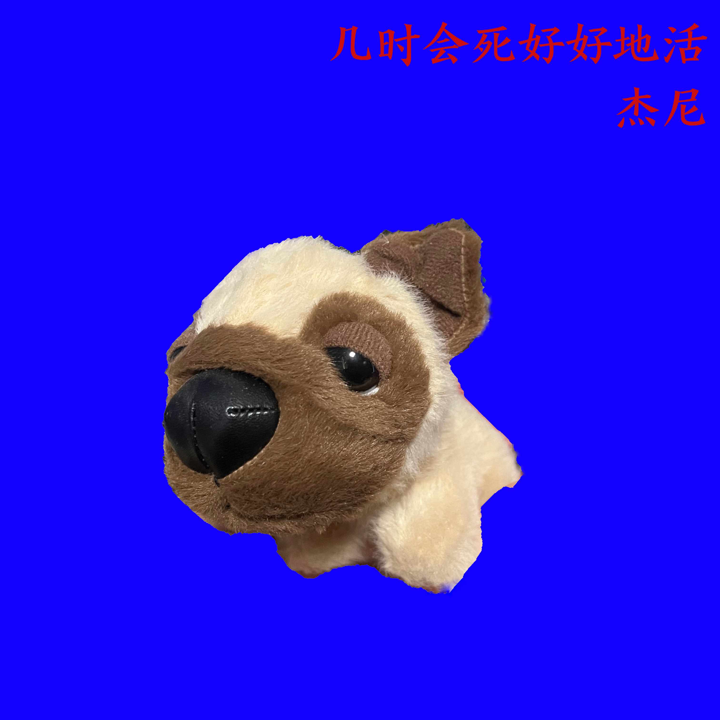 要死要活封面