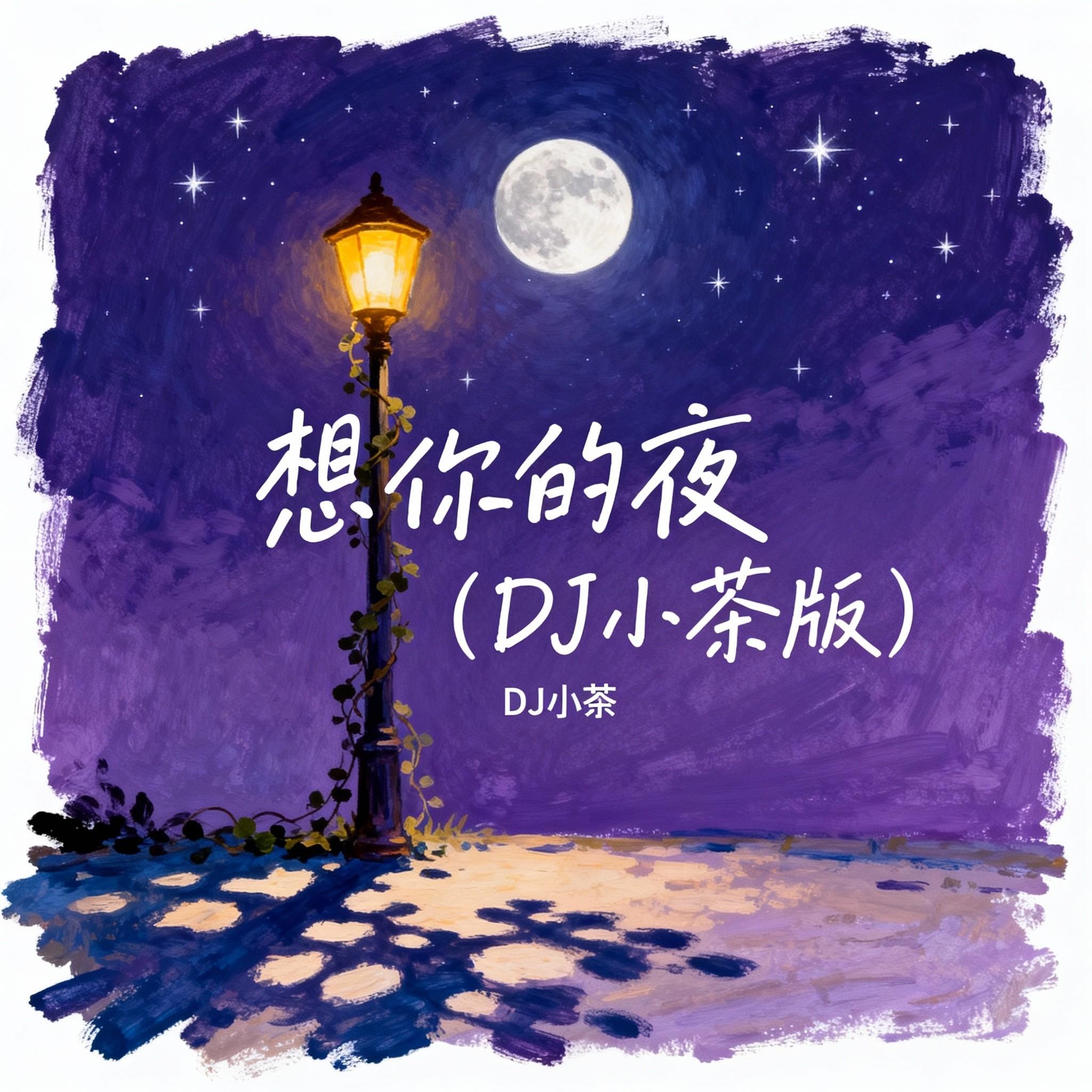 想你的夜封面