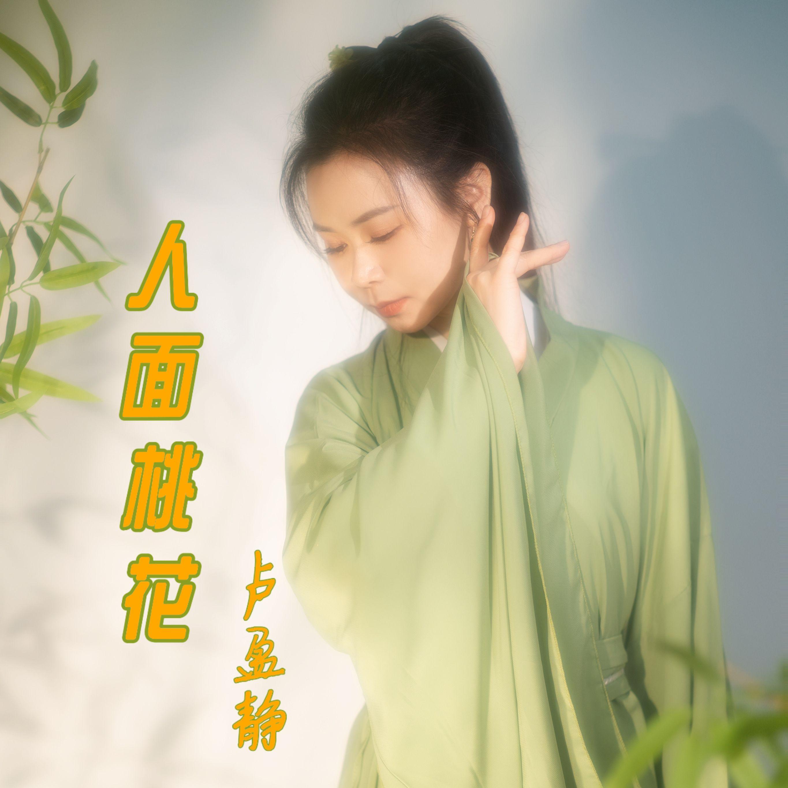 人面桃花(国语版) 伴奏版封面