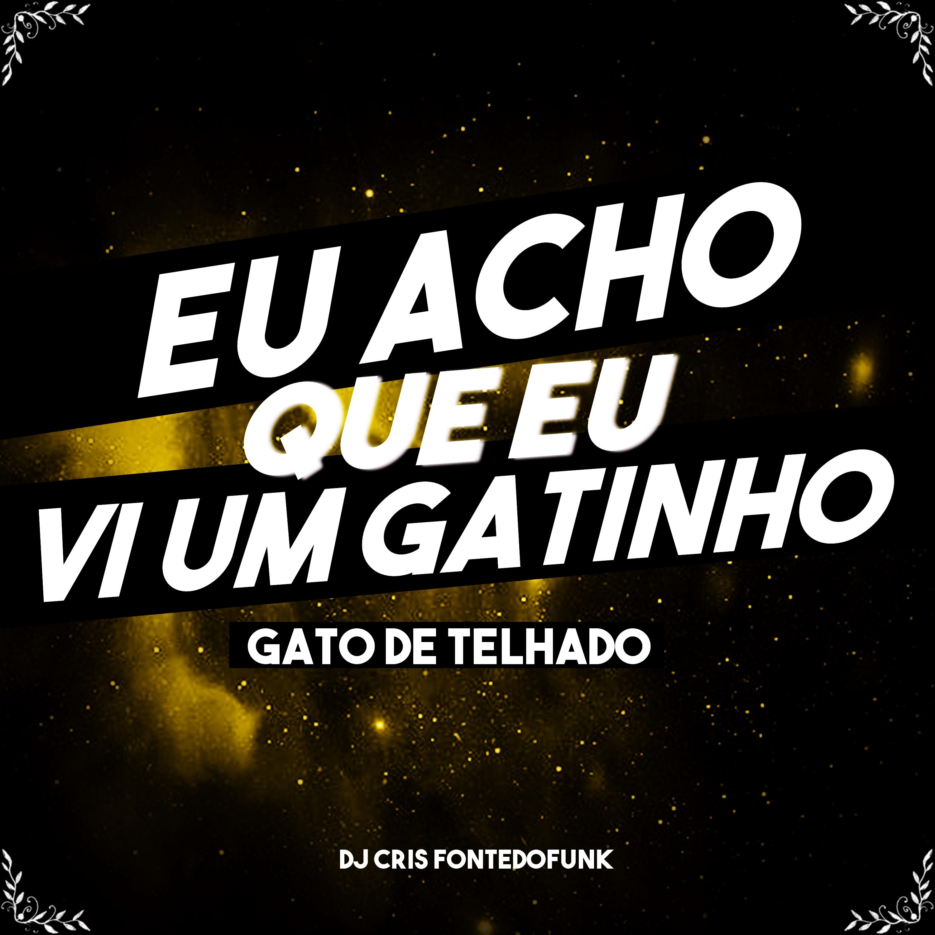 Eu Acho Que Eu Vi um Gatinho - Gato de Telhado