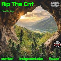 Rip The Cnt (Hazy Version) (feat. Wombat & Indigomerkaba)