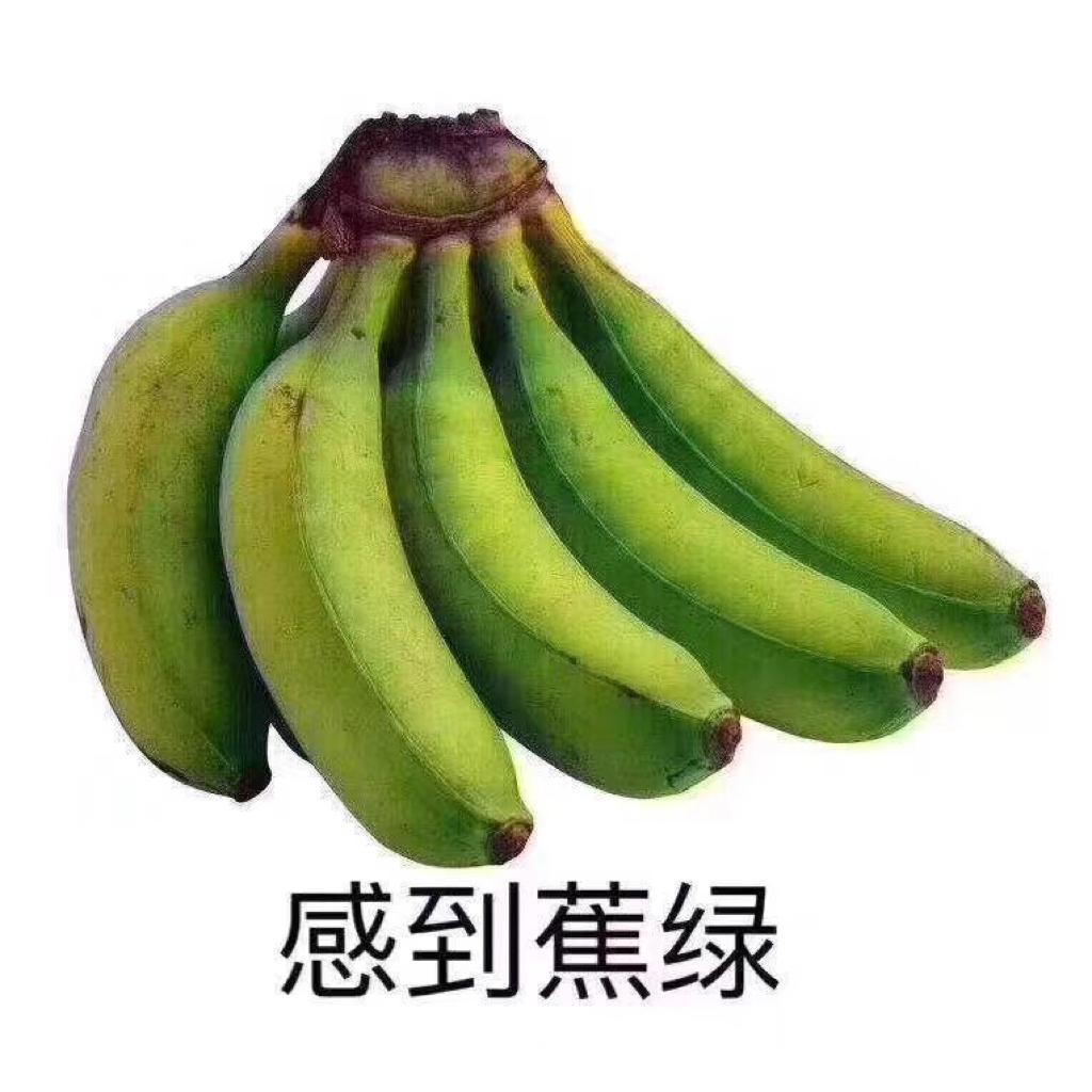 精神食粮
