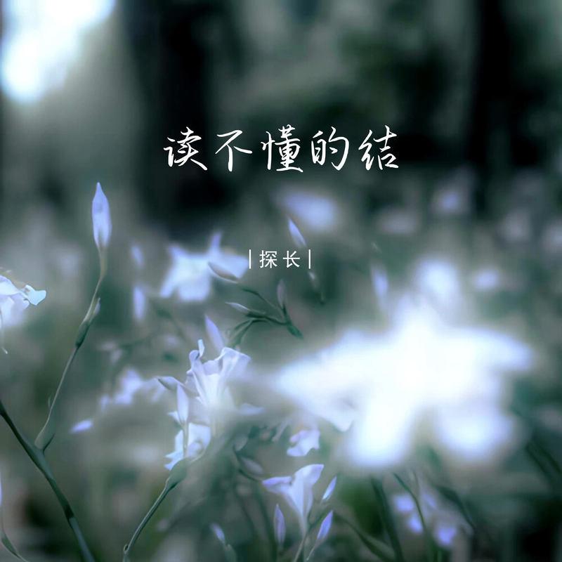 读不懂的结 (伴奏)封面