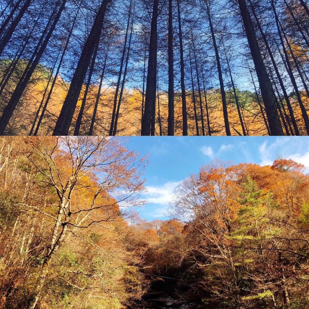 B/gM // 大气恢弘磅礴的背景音乐