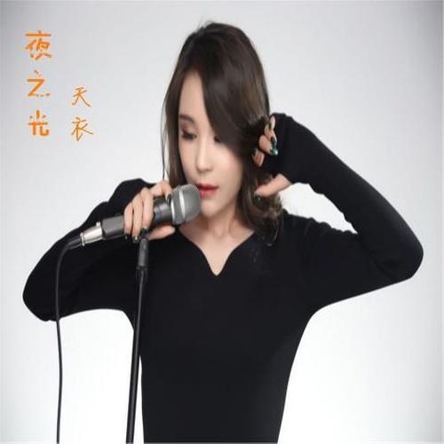 夜之光封面