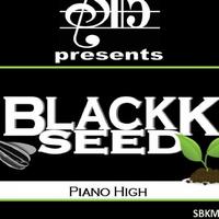 BlackkSeed资料,BlackkSeed最新歌曲,BlackkSeedMV视频,BlackkSeed音乐专辑,BlackkSeed好听的歌