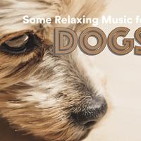 Some Relaxing Music for Dogs