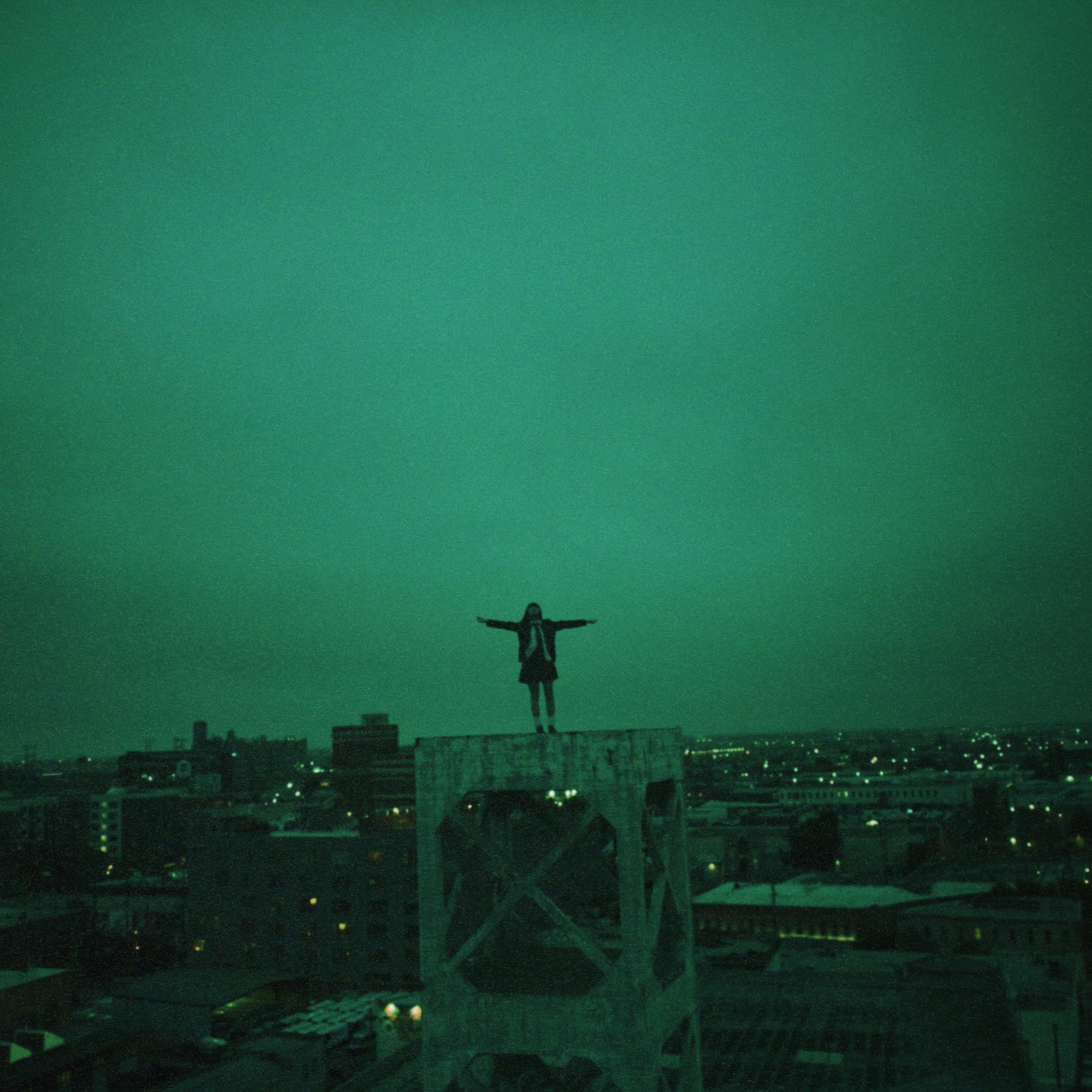 Swallowtail Butterfly