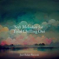 Soft Melodies for Total Chilling Out