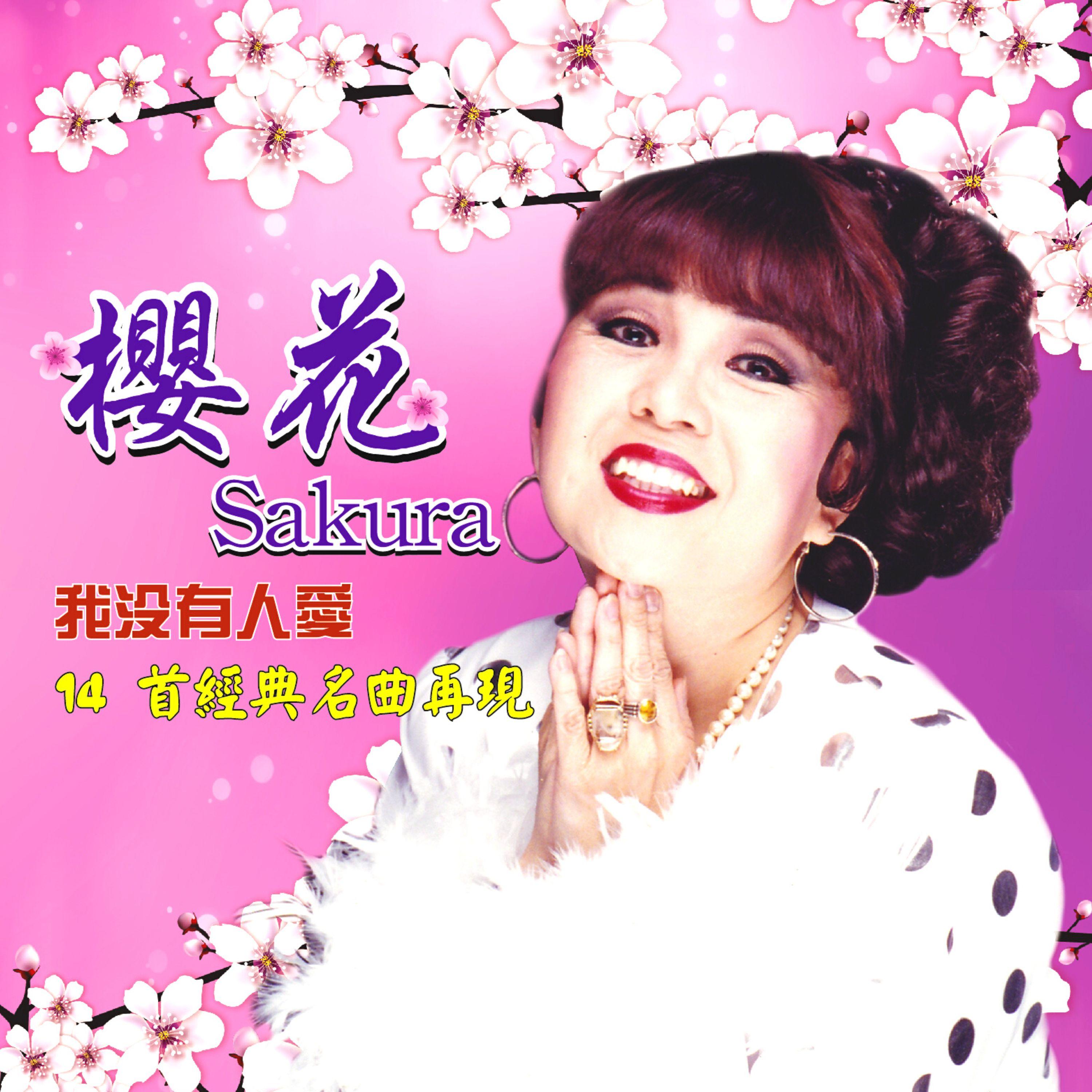 樱花恋封面