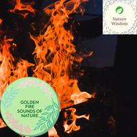 Golden Fire Sounds of Nature