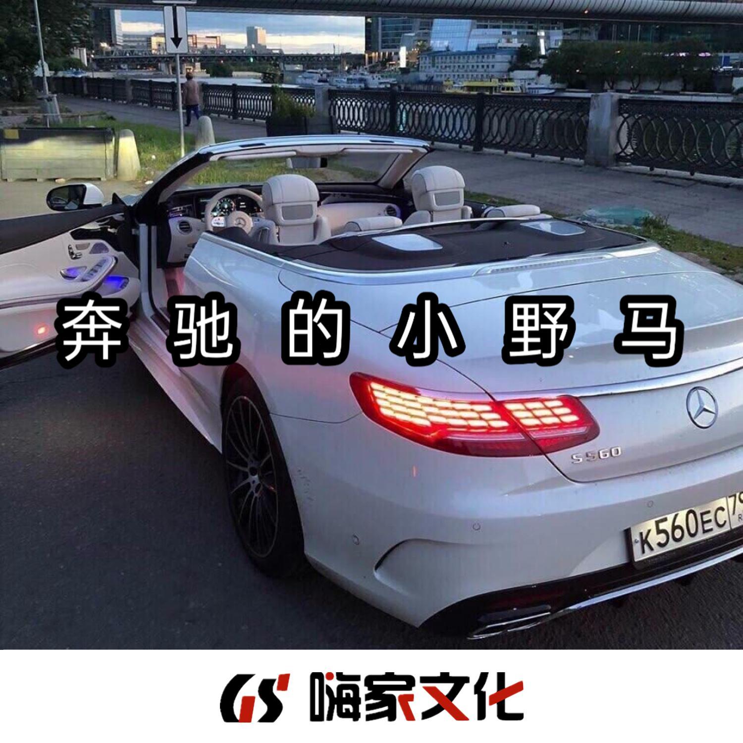 雾里天涯(DJ版)封面