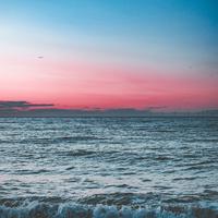 Kings of Nature - Music Love