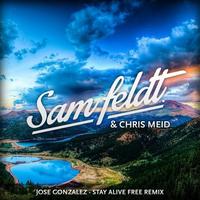 Stay Alive (Sam Feldt & Chris Meid Remix)