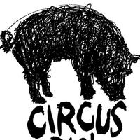 Circus Pig!