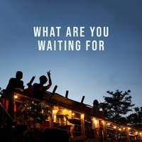 What are You Waiting For (Sunroof Dance, Afrobeat Sunset, Sunday Funday Music, Slowed Indie Party)