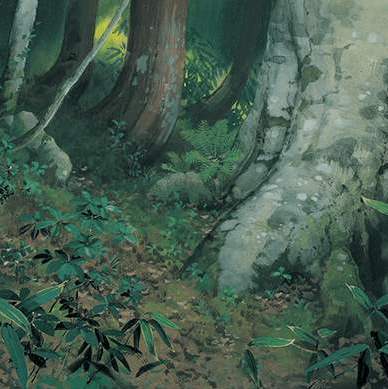 静谧纯音 | 禽吟阴森林，鹿伏朴樕木