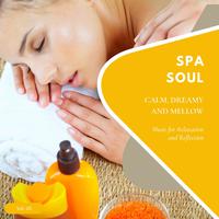 Spa Soul - Calm, Dreamy And Mellow Music For Relaxation And Reflextion, Vol. 05