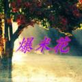 清明雨上 (DJ版)封面