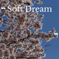 Soft Dream