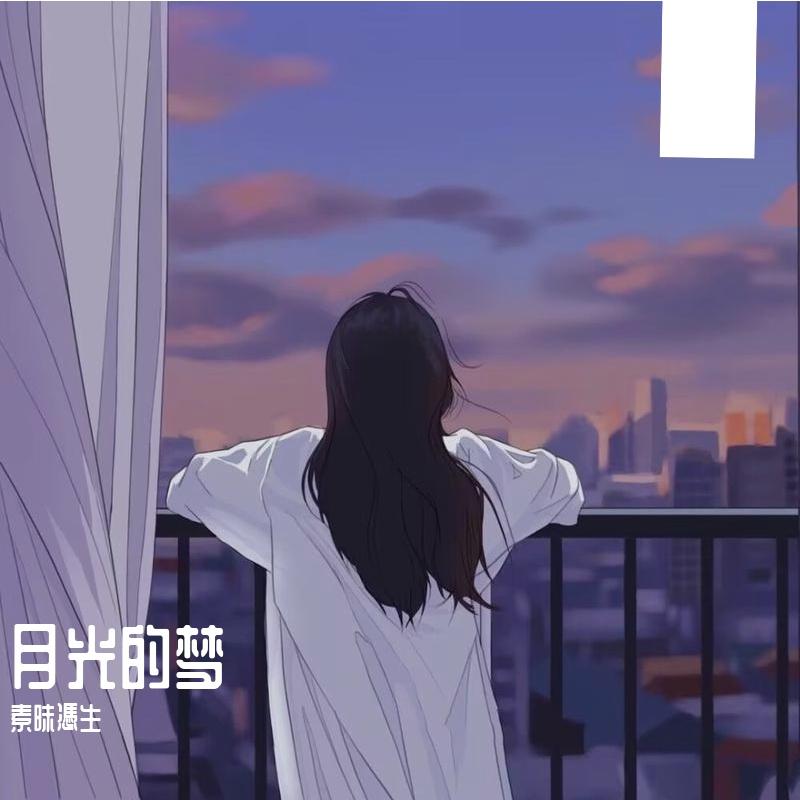 我没能送你回家-素昧 伴奏 - 素昧憑生封面