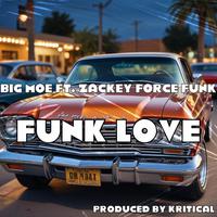 Funk Love (feat. Zackey Force Funk)