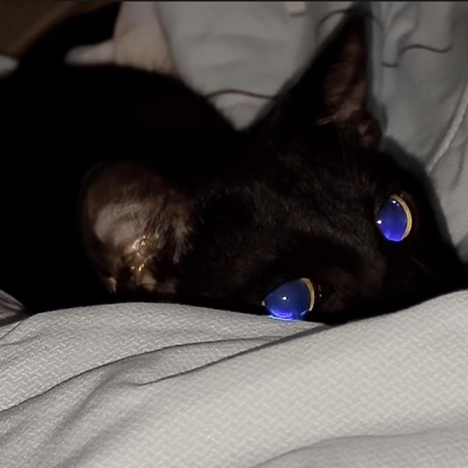 猜你喜欢的英文RNB/流行