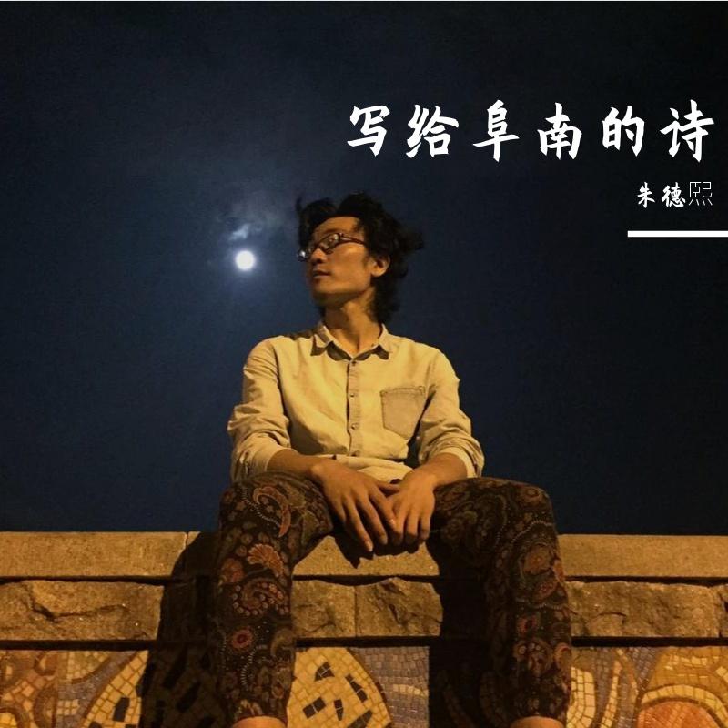 写给阜南的诗封面