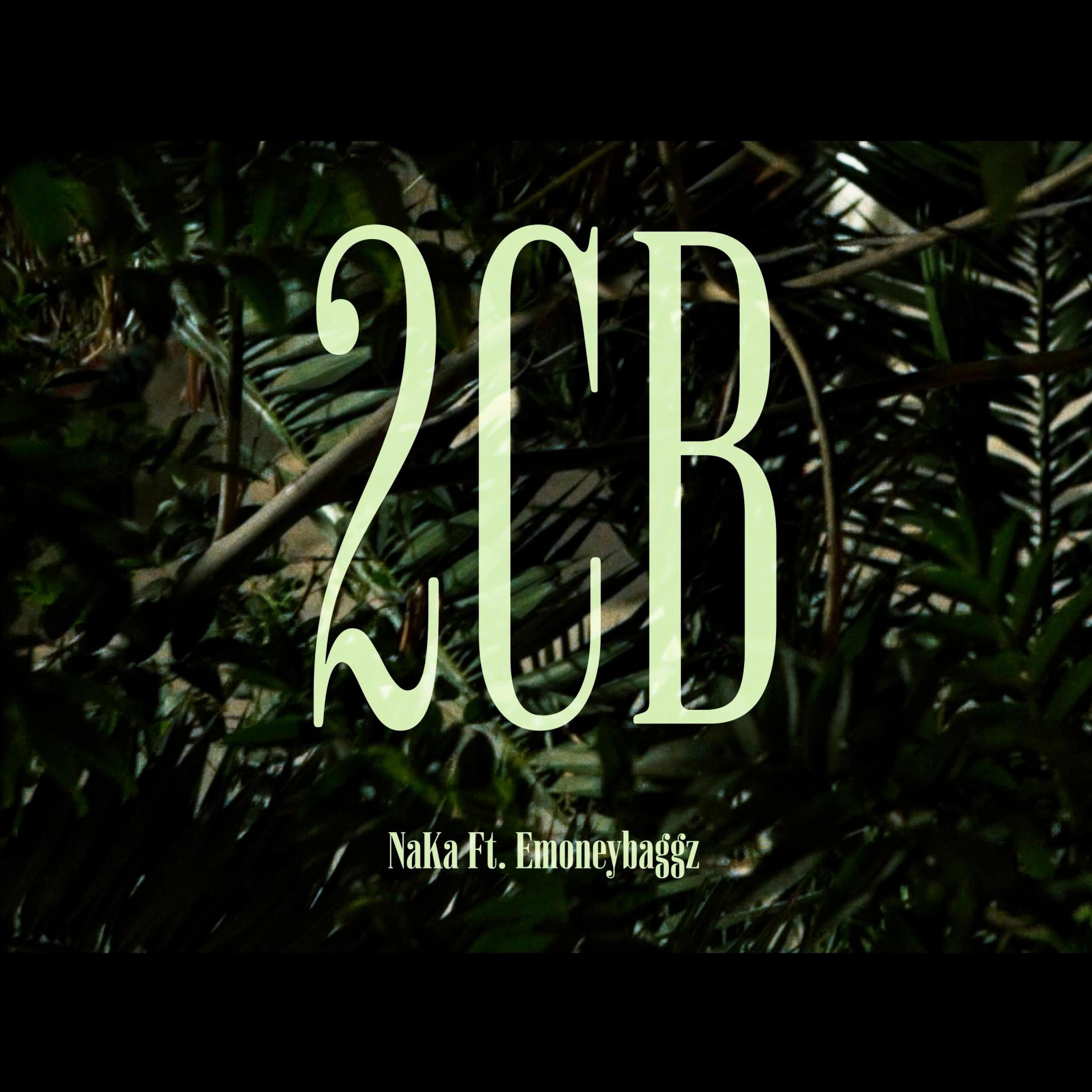 2CB (feat. Emoneybagg)