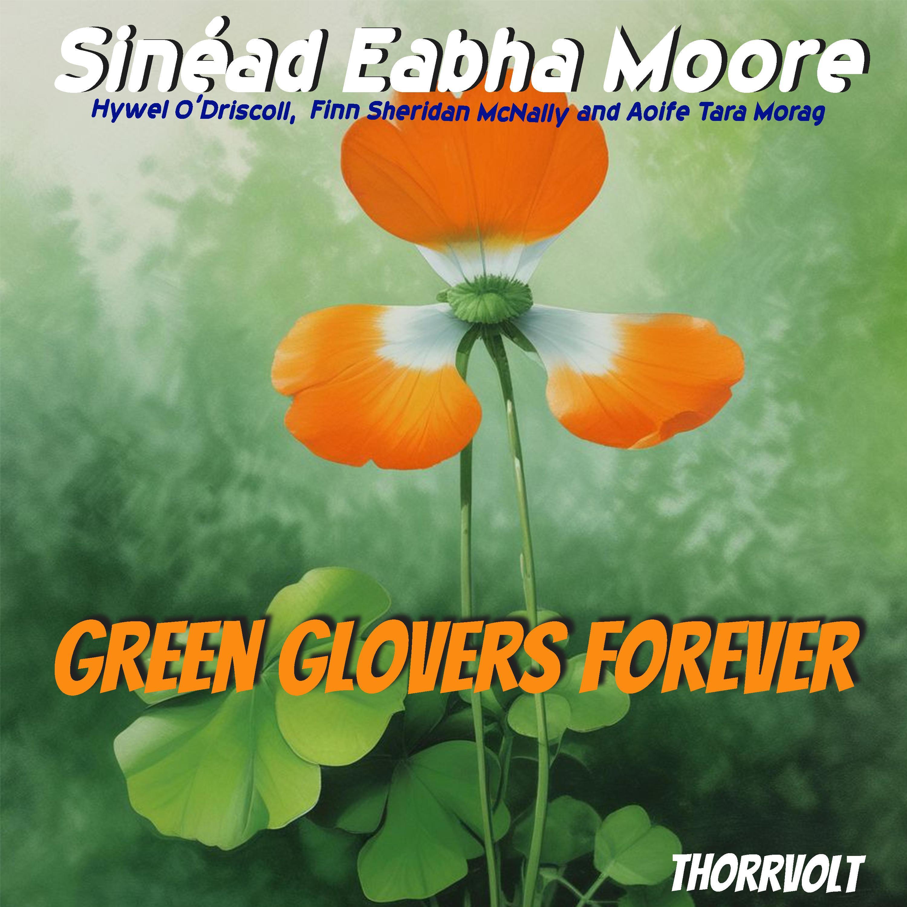 Sixteen Summers Gone! (Irish Ballad,Story of young love, with a clear beginning,meeting and falling in love and end .)