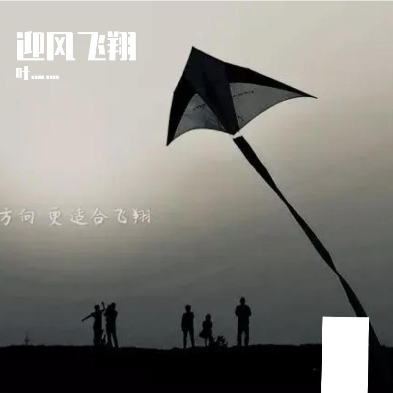 逆光开花 伴奏封面