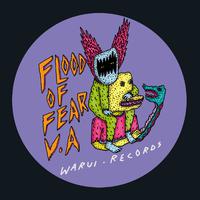 Flood of Fear V.A