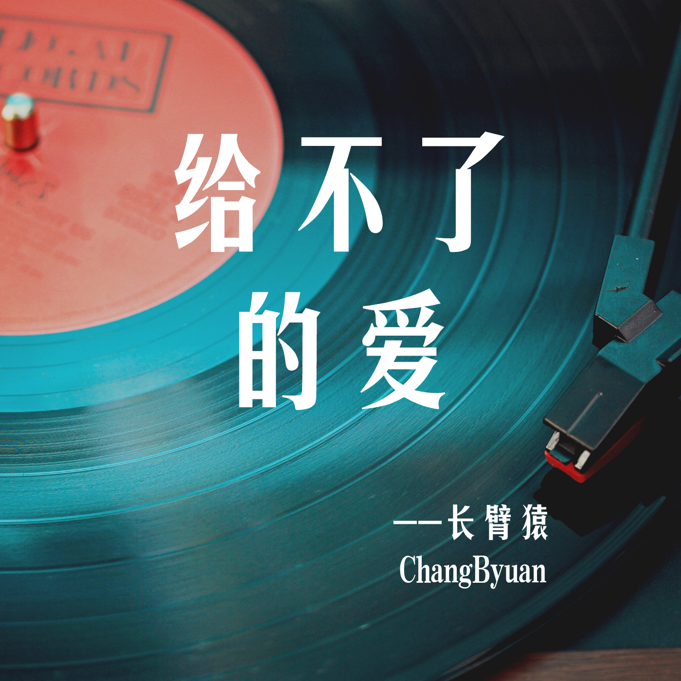 给不了的爱（demo) 伴奏封面