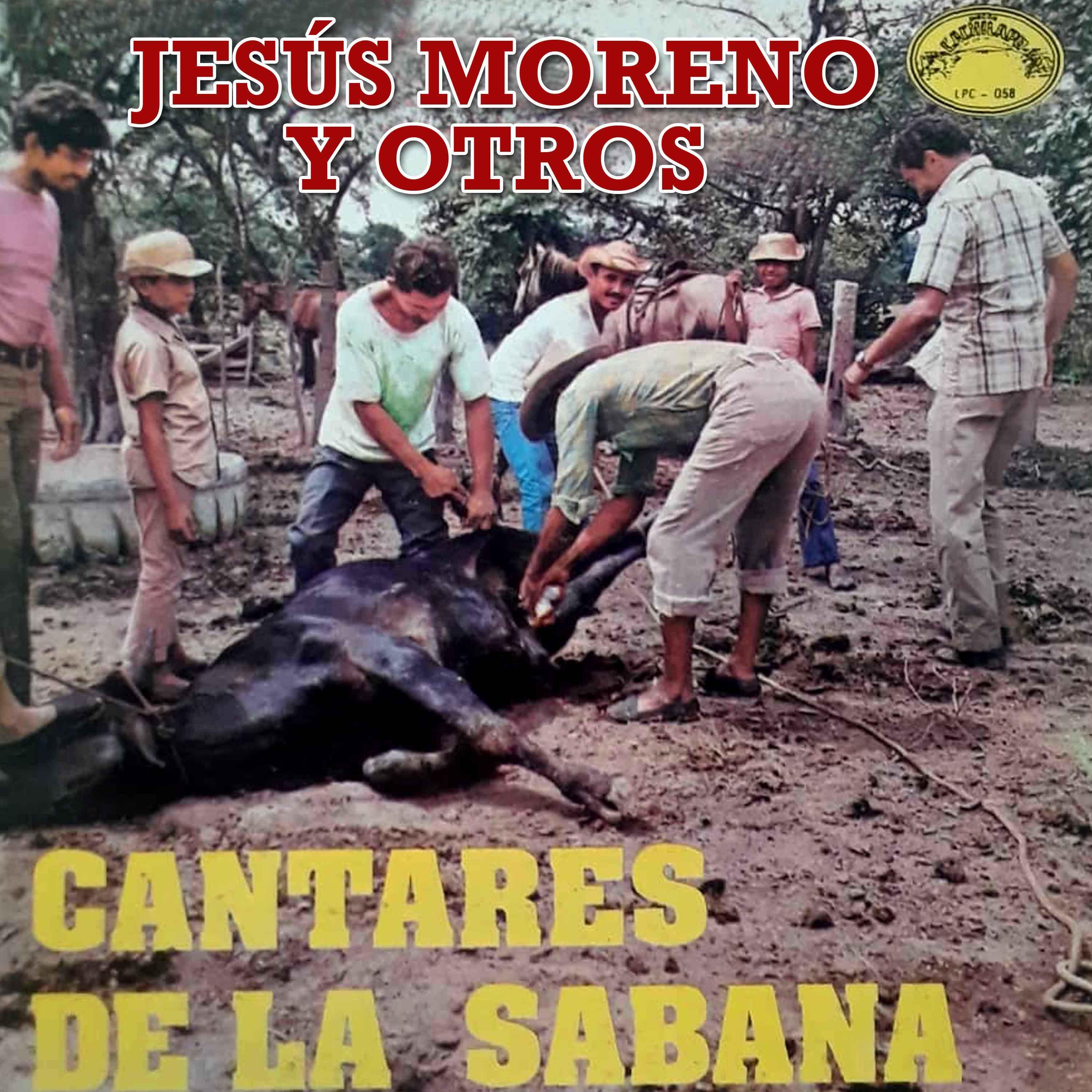 El toro del Moral